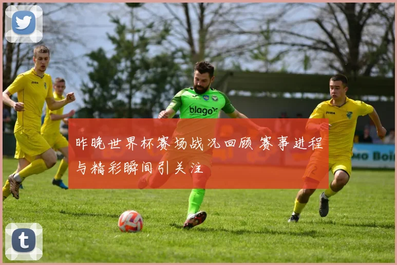 昨晚世界杯赛场战况回顾 赛事进程与精彩瞬间引关注