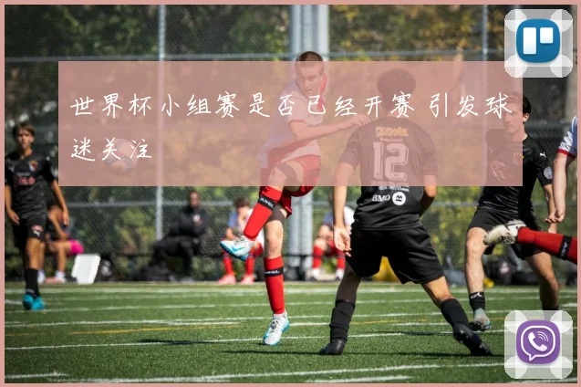 世界杯小组赛是否已经开赛 引发球迷关注