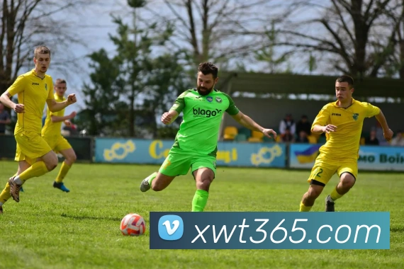 ayx.cn登录入口发展历程